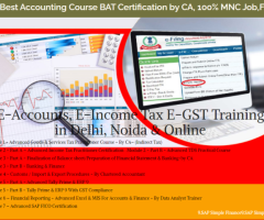 Accounting Course in Delhi, 110045 by SLA Consultants. GST and Accounting Institute,