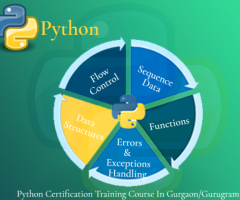 Best Python Data Science Training Course in Delhi, 110016,